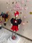 Kız Çocuk Kırmızı Etekli Mickey Mouse Detaylı Takım 5