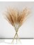 Tekno Trust Pampas Uzun 1