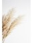 Tekno Trust Pampas Uzun 2