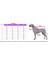 Mıss Daısy Pet Boutıque Leopar Desen Triko Kedi-Köpek Kazağı 3