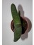 Bayraktar Peyzaj Gasteria Pillansii Sukulent Tekli 5,5 cm Saksıda 3