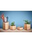 Grovemade Masaüstü Mini Çiçeklik - Meşe 4