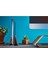 Grovemade Dikey Macbook Istasyonu - Premium Dikey Laptop Standı - Dizüstü Bilgisayar Tutucu - Ceviz 4
