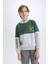 Erkek Çocuk Minecraft Kapüşonlu Kalın Sweatshirt D6746A824WN 4