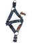 Köpek Göğüs tasması minik ırk Lacivert Kot Göğüs ölçüsü:25-45cm ayarlamalı 1-7 kg dog harness GT2-29 2