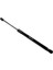 A2208800329 Kaput Amortısoru 230N Mercedes-Benz W220 98 > 1