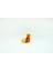 Growlithe Pokemon 3D Model 2