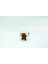 Pinsir Pokemon 3D Model 3