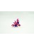 Gligar - Gliscor Pokemon 3D Model Evrim 2li Tüm Set 2