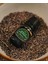 Malt Aroma Verici Yeşil 100 ml Cam Şişe 5 Adet 2