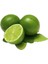 Limon Fidanı Misket Citrus aurantifolia Lime Misket Limon, 80-100 cm 1