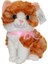 CN-705 Peluş Sesli Kedi 3