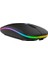 Sr-M1 Wireless Şarjlı Kablosuz Mouse Type-C Rgb 2