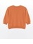 Lcw Kids Bisiklet Yaka Uzun Kollu Erkek Bebek Sweatshirt 2