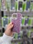 iPhone 15 Pro Max Lüks Parlak Doğal Taşlı Siyah Kamera Çıkıntılı Içi Kadife Kılıf 3