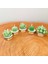 Gia Design 5'li Dekoratif Succulent Tealight Kokulu Mum Seti 3