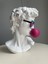 Tekno Trust David Büst Dekoratif Obje Michelangelo Davut Heykeli Pop Art Ev Ofis Dekor 5