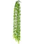 Yapay Sarmaşık Okaliptus Yeşil 90 Cm. 1