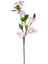 Yapay Çiçek Kiraz Çiçeği Lila 70 Cm. 1