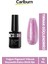 Hızlı Kuruyan Uzun Süre Dayanıklı Yüksek Pigment 3 Aşamalı Kalıcı Simli Tırnak Ojesi 10 ml 1