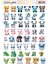 Kawaii Sea Animals ( Hayvanlar ) Temalı 2 Sayfa A4 101 Adet Sticker Set 3