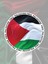 Free Palestine Özgür Filistin Sticker Set 1 Sayfa A4 3,8 cm 24 Adet 1