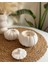 Art Pumpkin Set 4