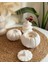 Punki Dekoratif Set/ Balkabağı Mumluk / Tealight Mum / Mini Vazo Seti 2