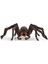 Harry Potter Aragog 13987 1