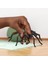 Harry Potter Aragog 13987 2