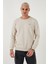 U.s. Polo Pamuk Karışımlı Regular Fit Bisiklet Yaka Sweat Erkek Sweat G081SZ0821945735 1
