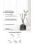 Parfüm Difüzörü Aroma Serisi KUNDAL Perfume Diffuser Aroma Edition 200ml 2 Adet (Pyeon Baek) 3