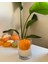 Halloween Pumpkin Candle / Vegan Mum 3