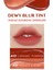 Blur Efekti Veren, Nemlendirici, Hafif Dokulu Tint CLIO Dewy Blur Tint (05 Caramel Pumpkin) 3