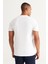 2'li Slim Fit Dar Kesim V Yaka %100 Pamuk T-Shirt 7