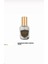 Monsıeur Edp 50ML Erkek Parfümü 1