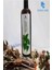 675 ml Şampuan Isırgan Otu 1