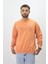 Eskitme Desenli Unisex Sıfır Yaka Sweatshirt 2