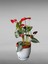 Çömlek Saksı Tabaklı Takım Y:24 cm-Ç:24 cm 1