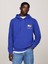 Tjm Reg Essentıal Flag Hood Ext 1