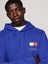 Tjm Reg Essentıal Flag Hood Ext 3