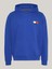 Tjm Reg Essentıal Flag Hood Ext 5