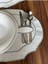 6 Adet Gümüş Renk Nakışlı Kaşıklıklı Oval Amerikan Servis Supla 3