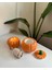 Yeyu Candles Pumpkin Box And Tealight Candle & Match Set 2