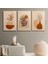 3'Lü Set Kanvas Duvar Tablosu Canvas Tablo Boho Klasik Modern Eu 190 1