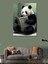 Kanvas Tablo Gazete Okuyan Panda 3