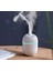 Fan+ Hava Nemlendirici 250 Ml Koku Bombası Pevaneli Humudifier 3