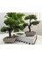 Tekno Trust Dekoratif Bonsai Yapay Ağaç (2 Adet) 1