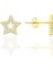 Gümüş Altın Yaldızlı Zirkon Taşlı Yıldız Küpe SGTL12659GOLD 1