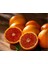 6'lı Fidan Kan Portakal,w. Murcott,limon, Portakal,satsuma Mandalina,greyfurt 4 Yaşında 120-150 cm 5